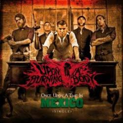 Upon A Burning Body : Once Upon a Time in Mexico